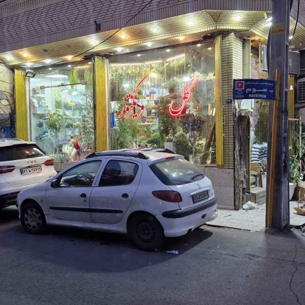 گل ویکتور