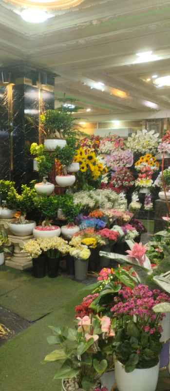 گلفروشی مینیاتور