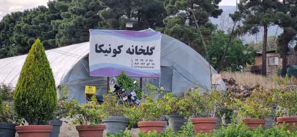 گل خانه کونیکا