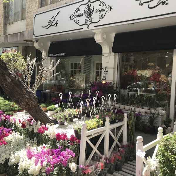گل‌فروشی میخک نقره‌ای