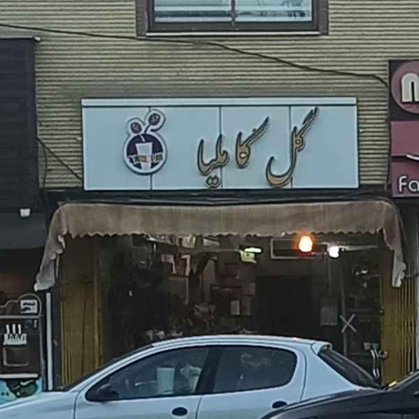 گل فروشی کاملیا