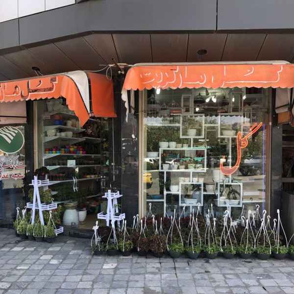 گل ماگریت